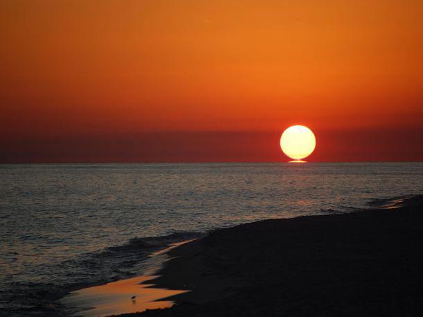 The Pearl Of Navarre #805 Esterno foto